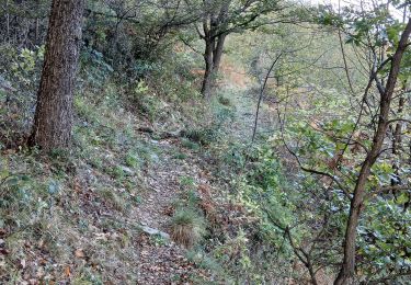 Tocht Stappen La Bastide - coll de palomere - Photo