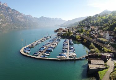 Tour Zu Fuß Glarus Nord - Mühlehorn - Murg - Photo