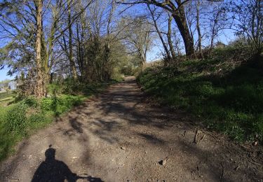 Tour Mountainbike Charleroi - Ransart a Mellery par Villers la ville - Photo