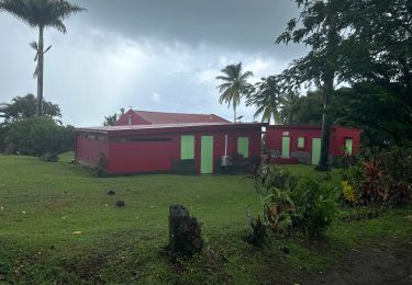 Tour sport Macouba - Reco Macouba terre patate nord plage - Photo