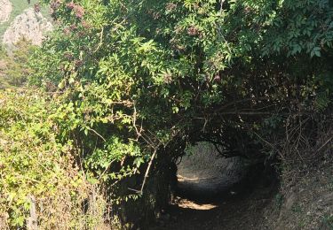 Randonnée Marche Cuttoli-Corticchiato - A stretta di i mulini - Photo