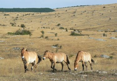 Excursión Senderismo La Malène - Mardi 14 mai - Photo