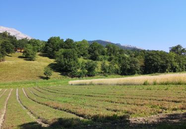 Randonnée Marche nordique Arbaz - Botyre  - Photo