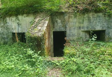 Tour Wandern Buxières-sous-les-Côtes - circuit 14.18 - Photo