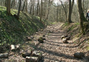 Trail On foot Kelmis - Rundweg Hohnbachtal - Photo