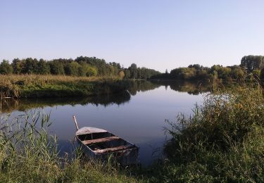 Randonnée A pied Zalaszentgrót - S+ - Photo