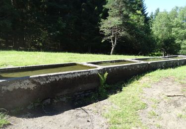 Tocht Stappen Orcines - Col de Ceyssat--Bac de Ceyssat - Photo