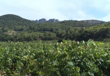 Tour Wandern Séguret - Boucle autour de Sablet - Photo