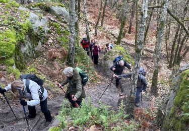 Trail Walking Champcueil - Beauvais par la Padole - Photo