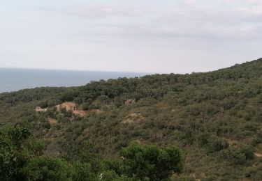 Excursión Senderismo Argelès-sur-Mer - valmy - Photo