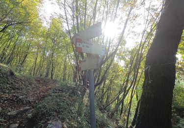 Tour Zu Fuß Roncola - Sentiero 861: Barzana - Palazzago - Monte Albenza (Sentiero del crinale) - Photo