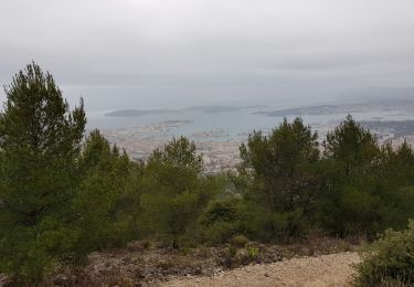 Trail Walking Toulon - les mémères de chagny  - Photo