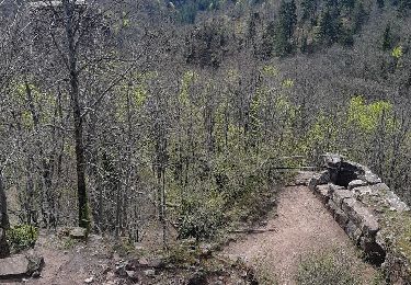 Trail Walking Oberhaslach - Cascades et Chateaux ruinés du Nideck - Photo