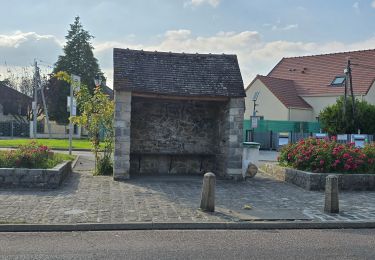 Trail Walking Soisy-sur-École - Soisy-sur-Ecole  - Tertres - Photo