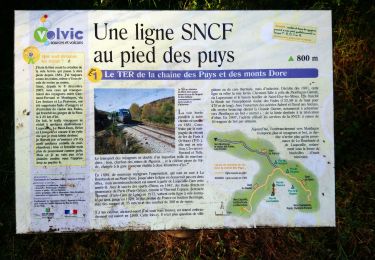 Trail Nordic walking Volvic - Le tour du Puy de Paugnat  - Photo