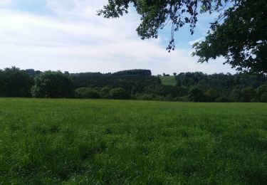 Excursión Senderismo Esneux - autour de fontin par les prés les champs les bois et les hameaux - Photo