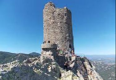 Randonnée Marche Argelès-sur-Mer - la tour de la massane - Photo