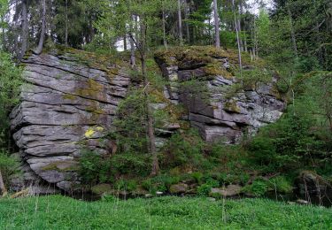 Tocht Te voet Selb - Hengstberg - Photo