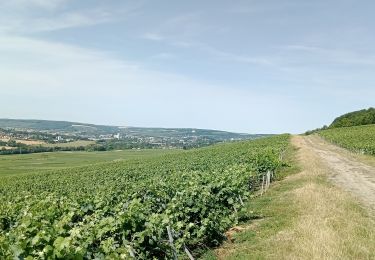Percorso Mountainbike Château-Thierry - Sortie du 17/07/2022 - Photo
