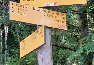 Tour Wandern Doucier - Balisage Lac de Chambly - Photo