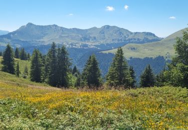 Tour Wandern Les Gets - MONT CALY MONT CHERY LES GETS 8 JUILLET 2022 - Photo