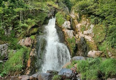 Tour Wandern Borce - Chemin de l'escalé - Photo