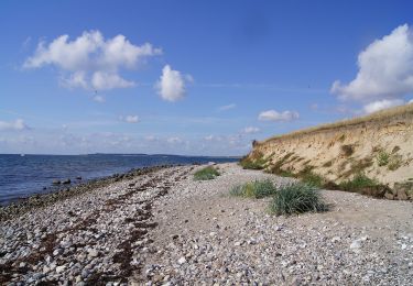 Randonnée A pied  - Aarø, gul rute - Photo