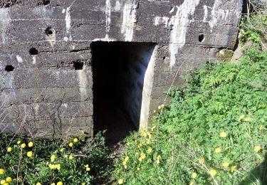 Randonnée A pied  - Sporet ved Gasse Høje, gul rute - Photo