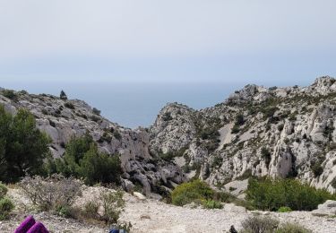 Trail Walking Marseille - Le tour de Beouveyre  - Photo