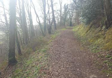 Trail Walking Saint-Lô - Saint Lô - 19/02/2019 - Photo