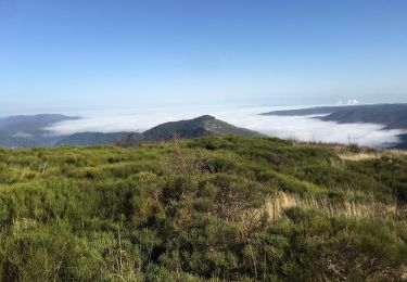 Tour Wandern Gourdon - Roc de Gourdon  - Photo