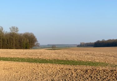 Randonnée Marche Gerpinnes - Printanière  - Photo