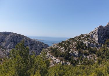 Excursión Senderismo Marsella - voire-marseillveyre-pastre-leclerc - Photo