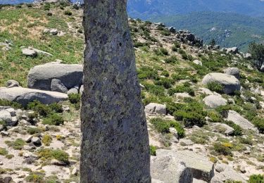 Excursión Senderismo Moca-Croce - mont San petru - Photo