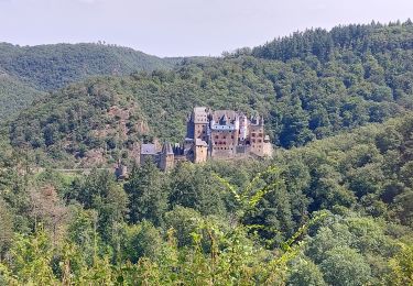 Tour Wandern Moselkern - Moselkern balade au château allée et retour  - Photo