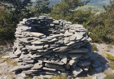 Excursión Senderismo Fay-sur-Lignon - monts d'ardeche - Photo