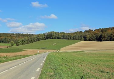 Trail On foot Grandcourt - A la Découverte de la Forêt d'Eu - Photo