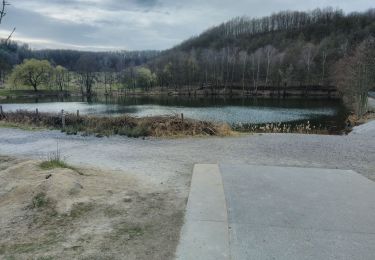 Excursión Senderismo Maastricht - CANI-RADO TOUR (boucle, montage saint pierre partie Hollande) - Photo