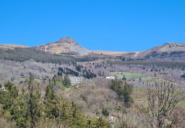 Tour Zu Fuß La Bourboule - La randonnée de Lilia - Photo