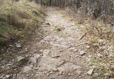 Trail Walking Saint-Martin-de-Valgalgues - Crématorium - Le Mas Dieu - Fontaine des Mamans - Carboussede - Crématorium - Photo