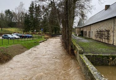 Tocht Stappen Rochefort - Lavaux-Sainte-Anne PVL Nov 2023 - Photo