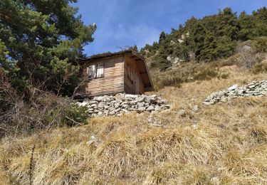 Trail Walking Roquebillière - Abri berger 1512m après Granges de Pale - Photo