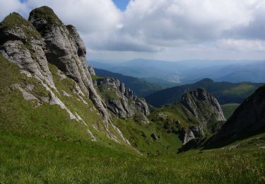 Excursión A pie Desconocido - Vama Buzăului - Poiana Dălghiu - Vf. Ciucaș - Photo