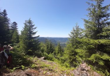 Randonnée Marche nordique Grandfontaine - chemin des casemate sud et lac de la Maix - Photo