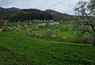 Tour Wandern Schliengen - Rando de Cerisiers et BLAUEN...20/04/2023 - Photo