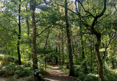 Randonnée Marche Liège - Sur les hauteurs de Streupa - Photo