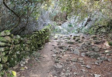 Trail Walking Serra-di-Ferro - Serra di Ferro, plage de Cupabia A/R - Photo