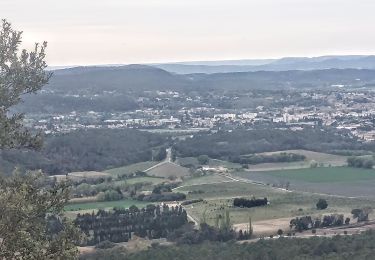 Trail Walking Bollène - 2022-04-13_12h01m15_Barry Chabrières Enclume 7,5km.gpx (1).xml - Photo