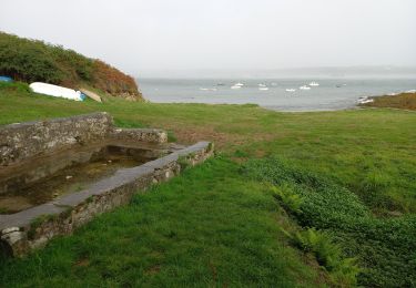 Tour Wandern Ouessant - Côte nord de la pointe de la Jument - Photo