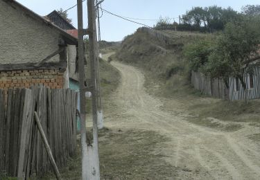 Tocht Te voet Șopotu Nou - Ravensca – Garnic – Carbunari (Red dot tourist path) - Photo